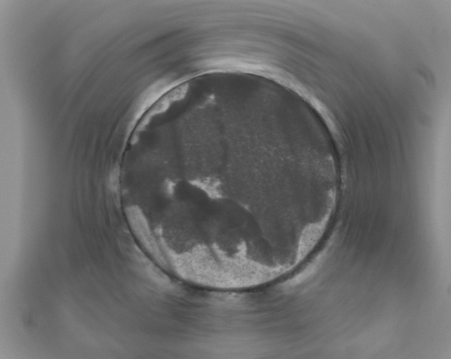 X0000111011529200907171824