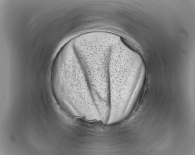 X0000111011530200907171824