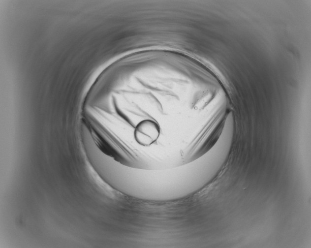 X0000111011532200907171824