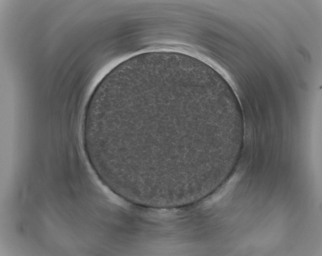 X0000111011533200907171824