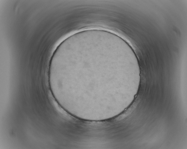 X0000111011534200907171824