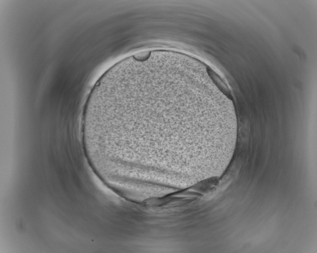 X0000111011535200907171824