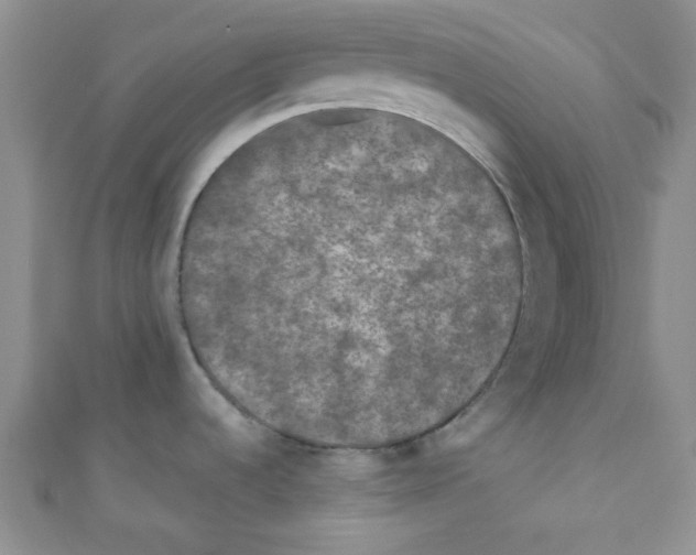 X0000111011536200907171824