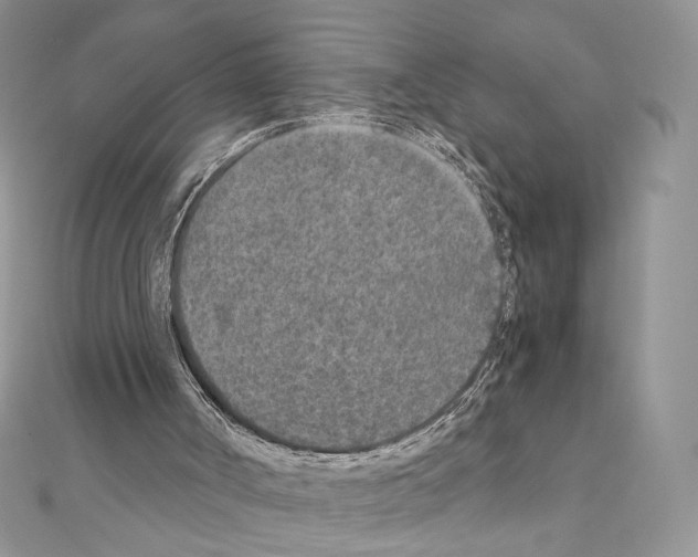 X0000111010002200907311101