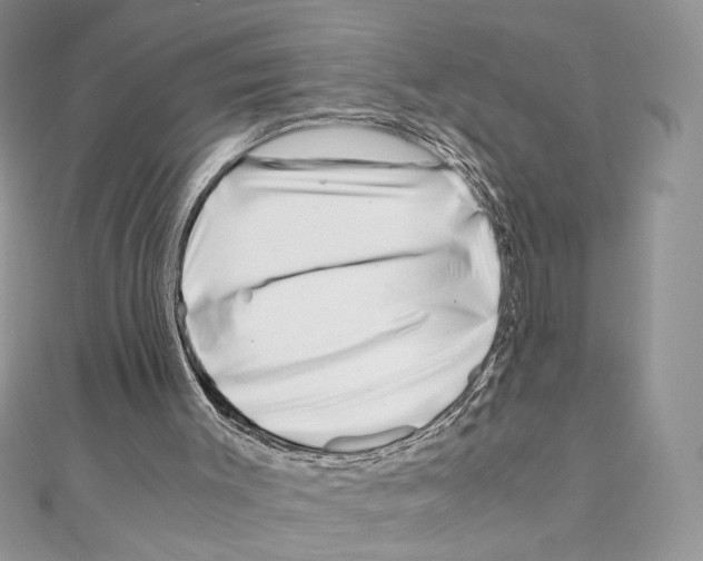 X0000111010003200907311101