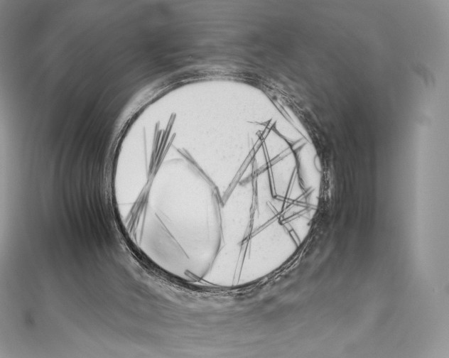 X0000111010004200907311101