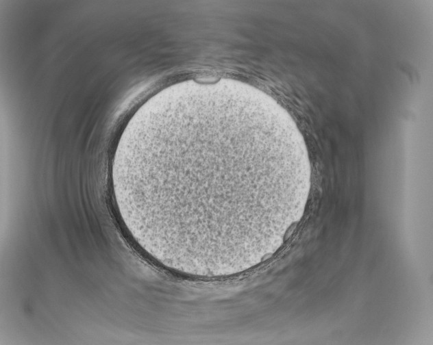 X0000111010005200907311101