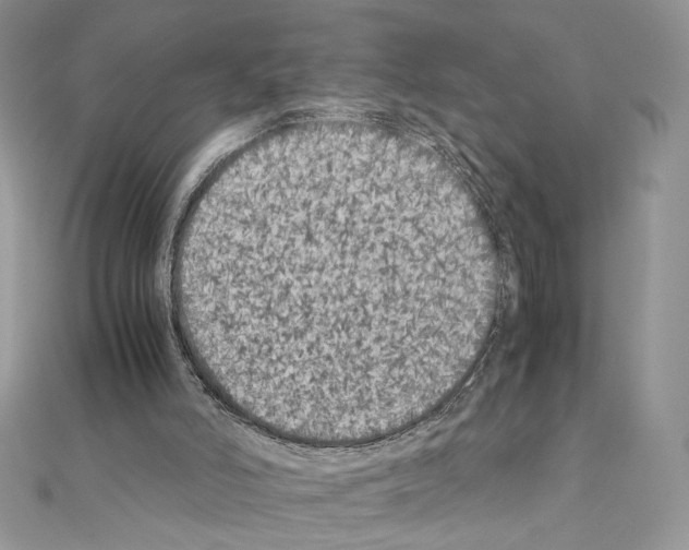 X0000111010006200907311101