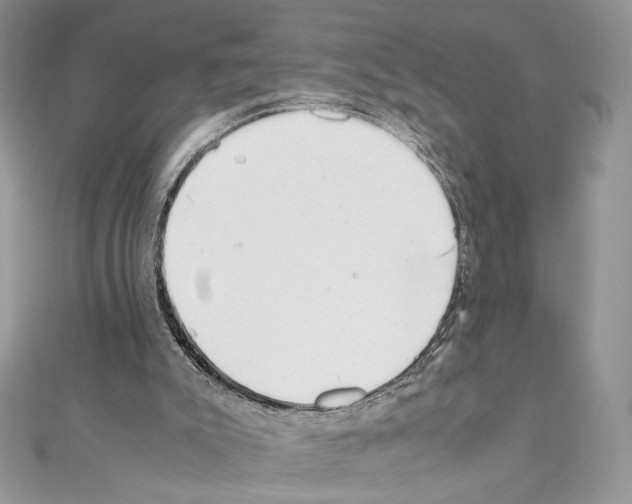 X0000111010007200907311101