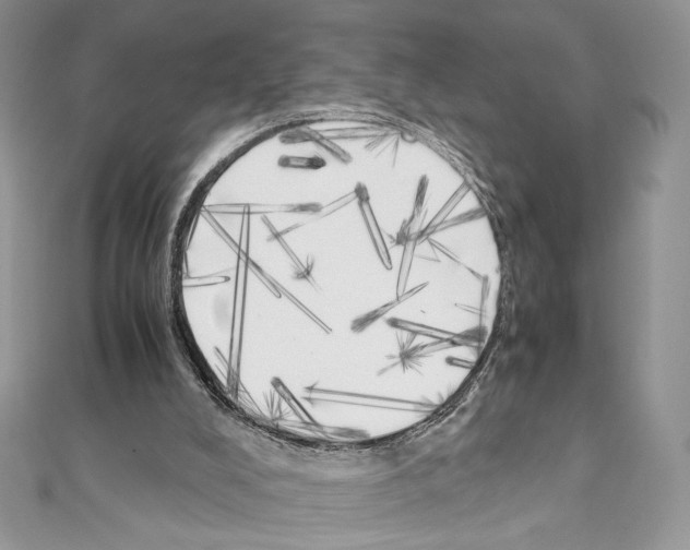 X0000111010008200907311101