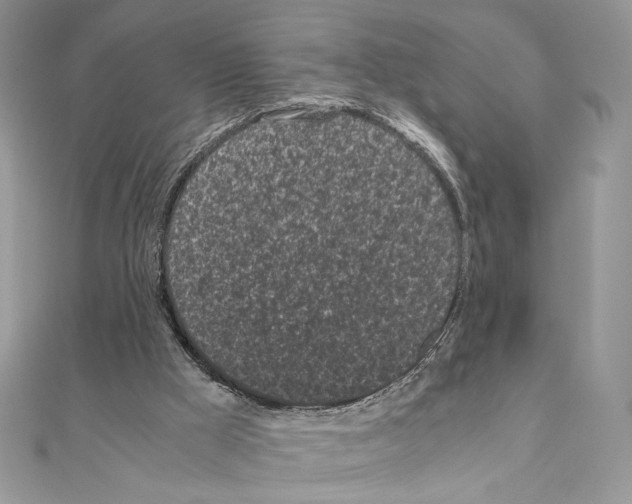 X0000111010009200907311101
