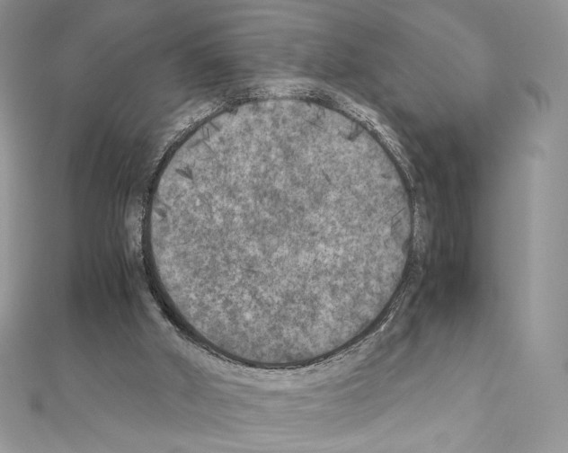 X0000111010010200907311101