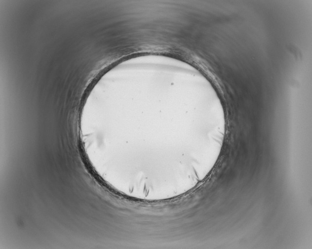 X0000111010011200907311101