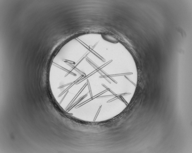 X0000111010012200907311101