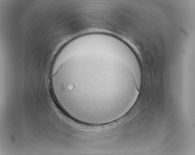 X0000111010015200907311101