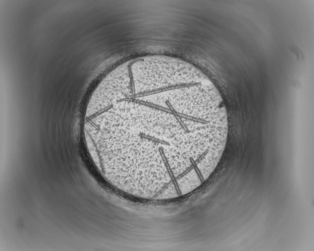X0000111010016200907311101