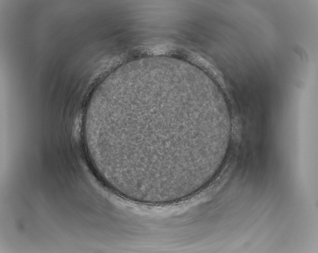 X0000111010018200907311101