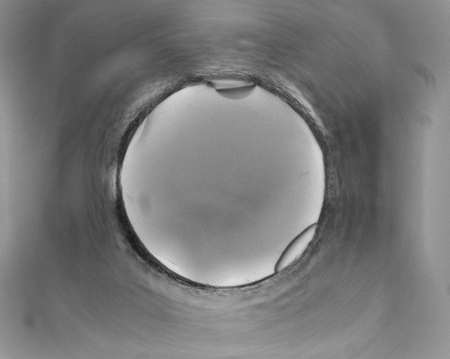 X0000111010019200907311101