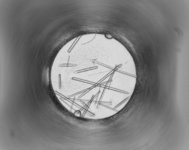 X0000111010020200907311101