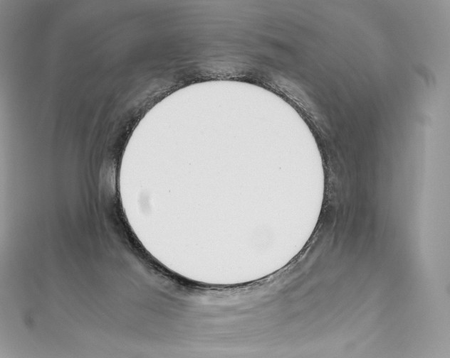 X0000111010021200907311101