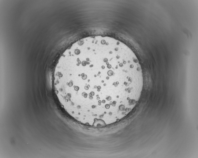 X0000111010022200907311101