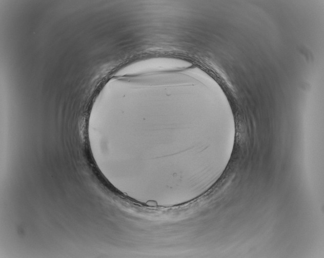 X0000111010023200907311101