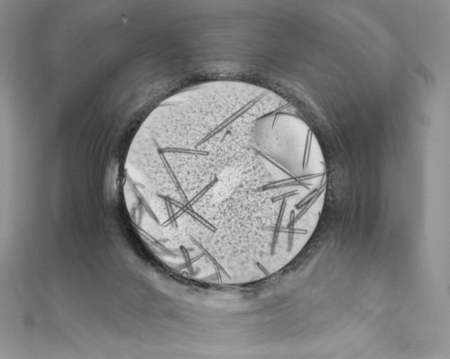 X0000111010024200907311101