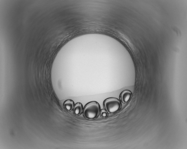 X0000111010025200907311100
