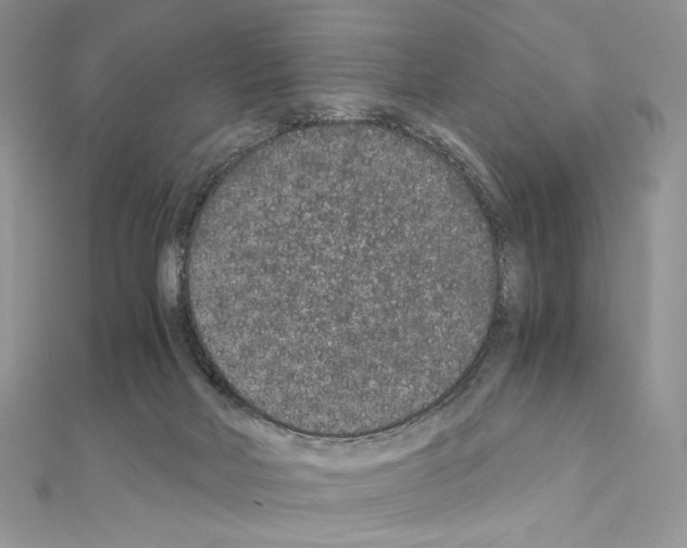 X0000111010026200907311100