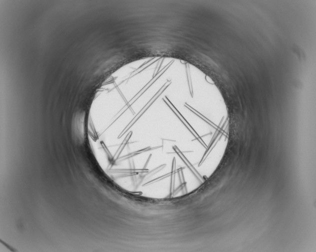 X0000111010028200907311100