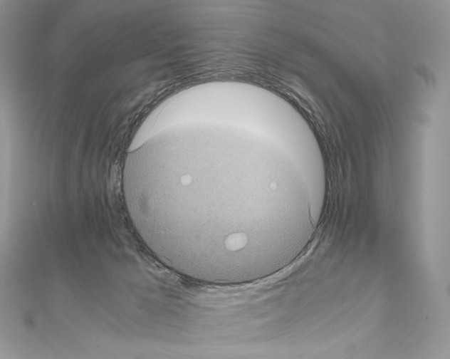 X0000111010029200907311100