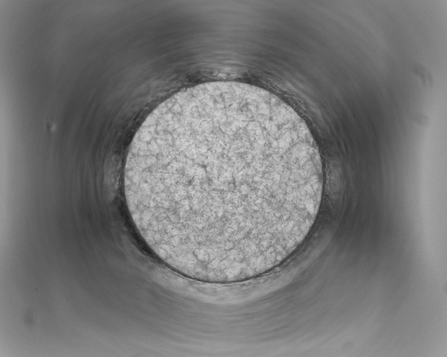 X0000111010030200907311100
