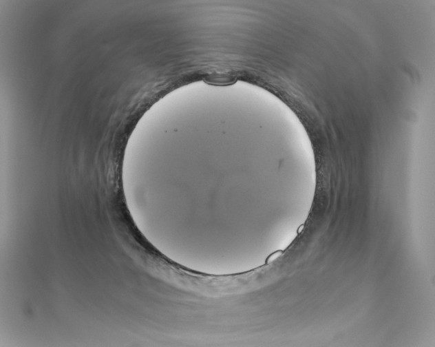 X0000111010031200907311100