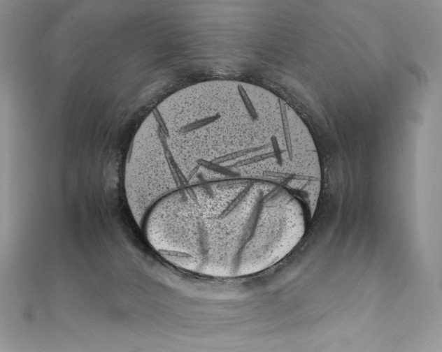 X0000111010032200907311100