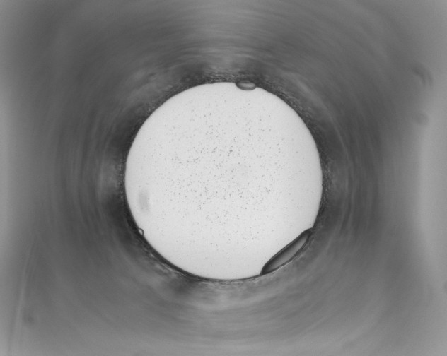 X0000111010033200907311100