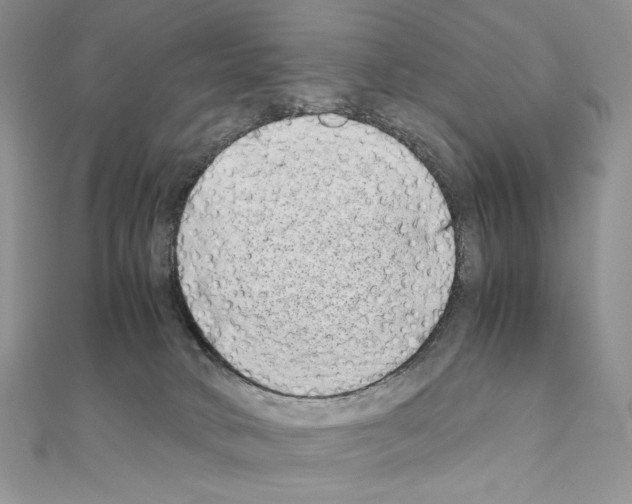 X0000111010034200907311100