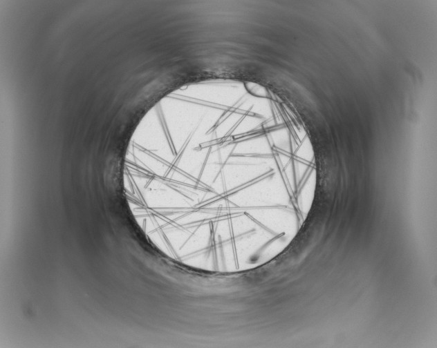 X0000111010036200907311100