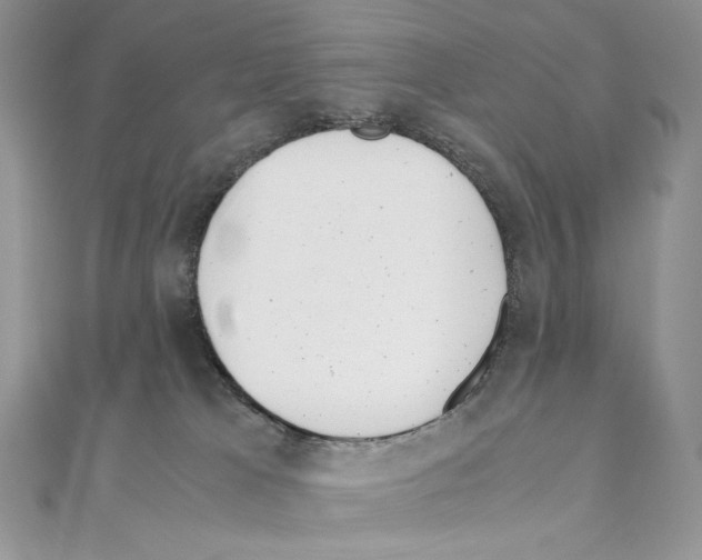 X0000111010037200907311100
