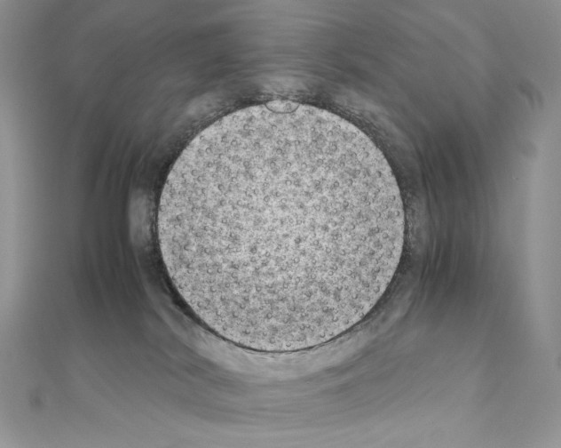X0000111010038200907311100