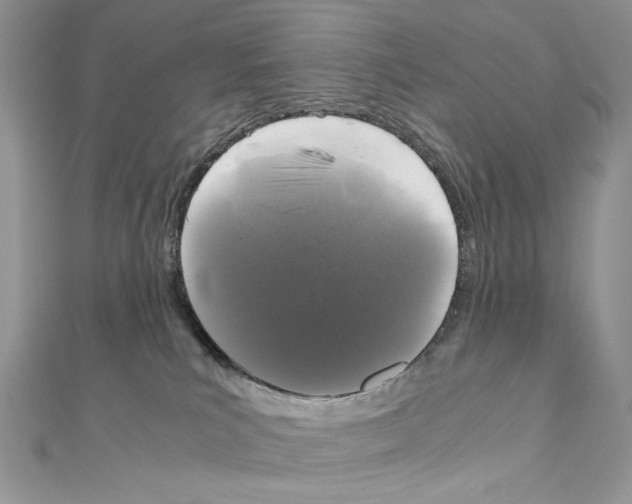 X0000111010039200907311100