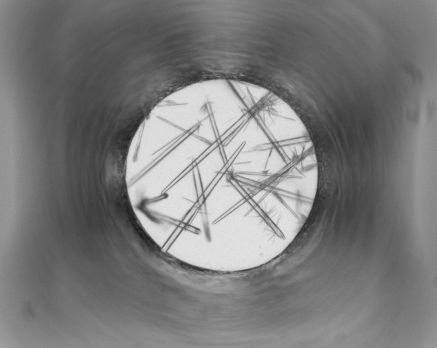 X0000111010040200907311100