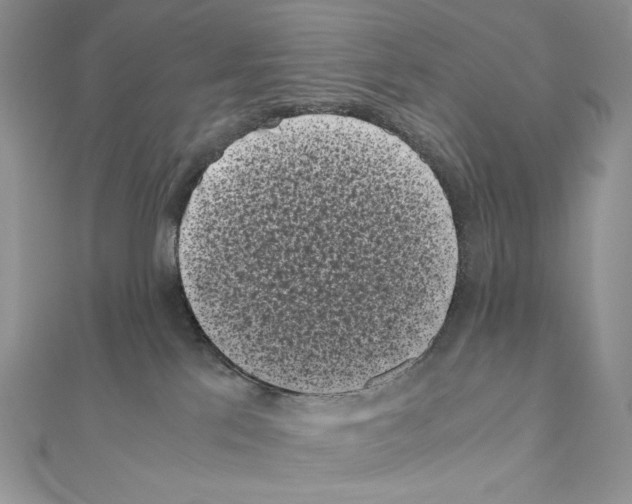 X0000111010041200907311100