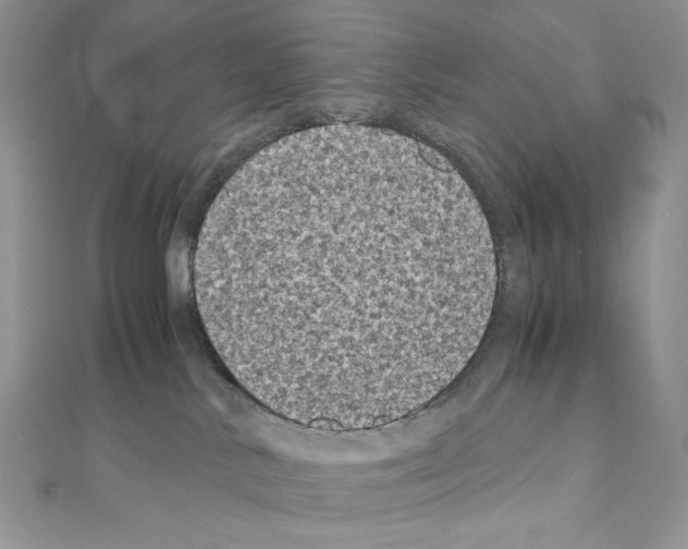 X0000111010042200907311100