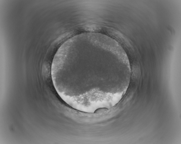 X0000111010043200907311100