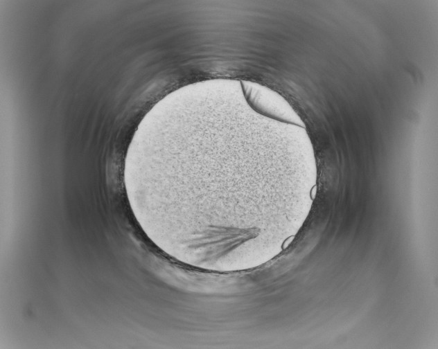 X0000111010044200907311100