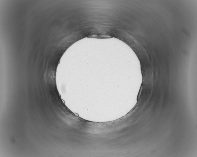 X0000111010045200907311100