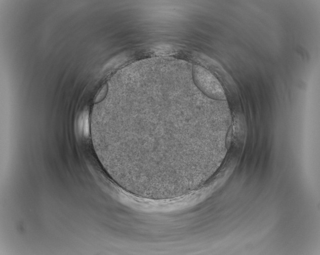 X0000111010046200907311100