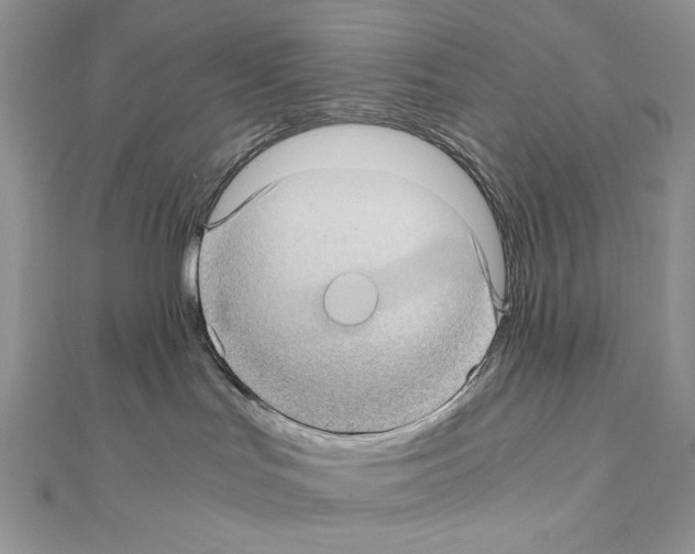 X0000111010047200907311100