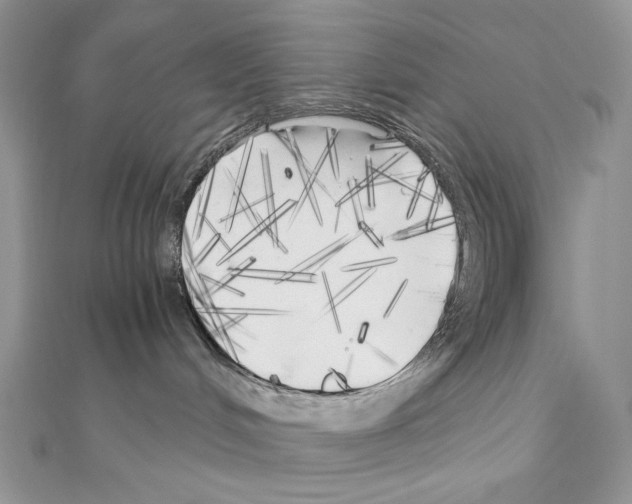 X0000111010048200907311100