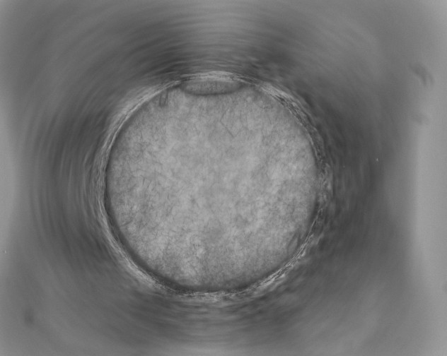 X0000111010049200907311100